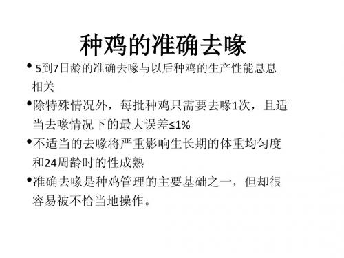 种鸡准确去喙操作流程
