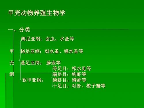 对虾养殖生物学01(形态学)