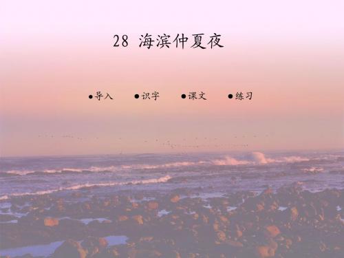 28  海滨仲夏夜