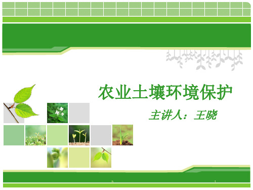 《土壤环境保护》PPT课件