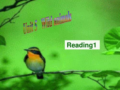 江苏新教材牛津英语八年级上 Unit5 Wild animals Reading 1