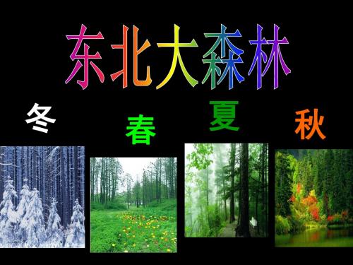 《东北大森林》课件1-优质公开课-冀教四下精品