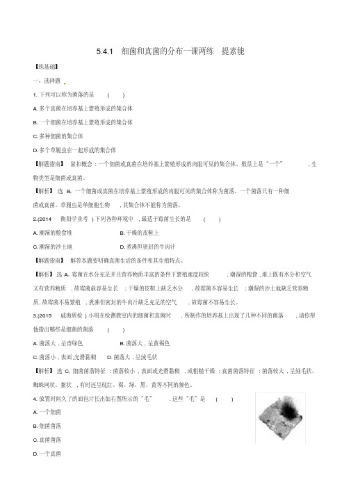 八年级生物上册探究导学课型5.4.1细菌和真菌的分布一课两练提素能(新版)新人教版