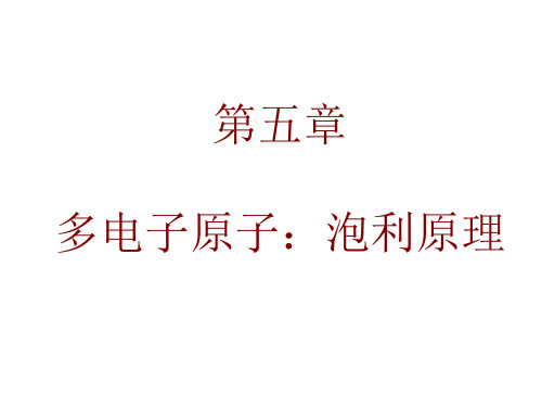 原子物理学第五章