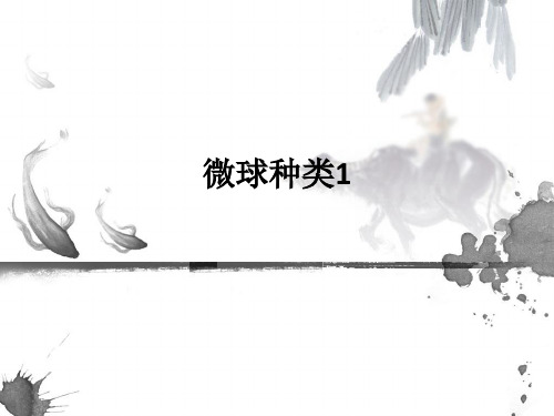 微球种类1ppt课件