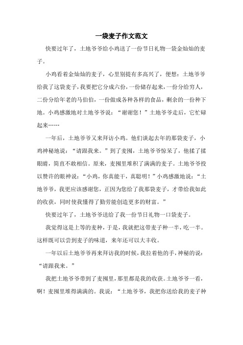 一袋麦子作文范文