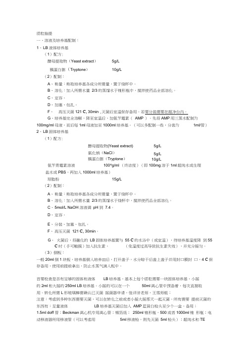 大肠杆菌质粒转染实验-QIAGEN大提试剂盒