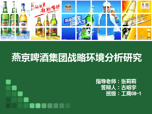 燕京啤酒集团战略环境分析研究 PPT课件