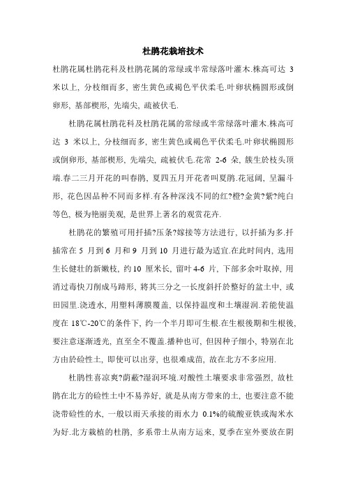 杜鹃花栽培技术