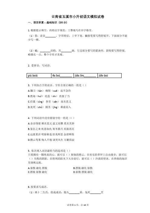 云南省玉溪市小升初语文模拟试卷有答案