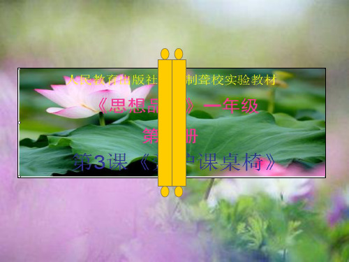爱护课桌椅(课堂PPT)