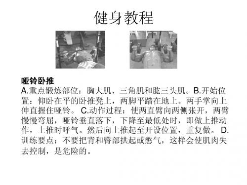 健身教程