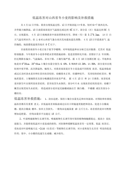 小麦低温冻(冷)害补救措施