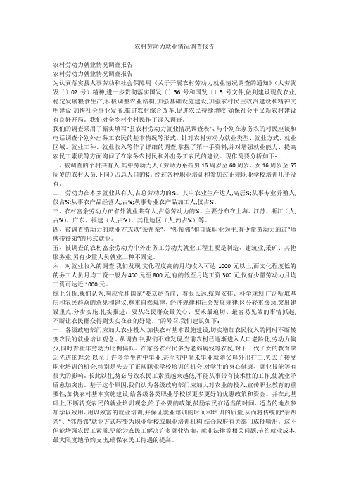 农村劳动力就业情况调查报告
