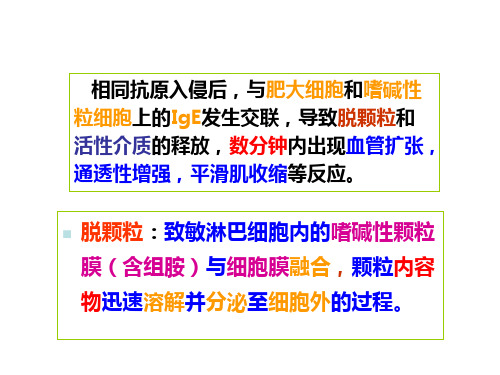I型超敏反应概述