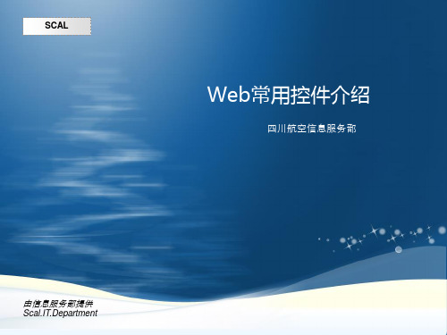 Net常用控件介绍.ppt
