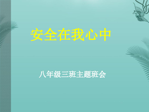 安全在我心中主题班会.优秀精选PPT