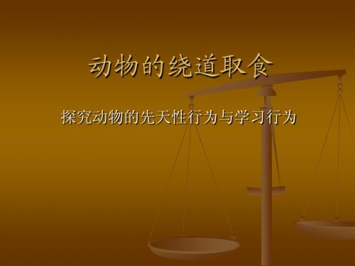 动物的绕道取食