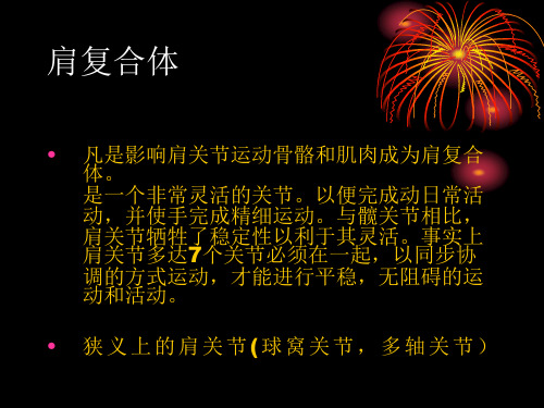 肩复合体
