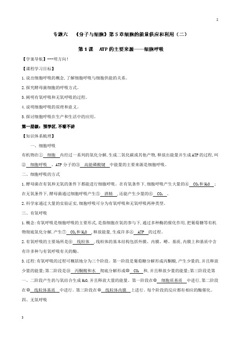 专题6.1 ATP的主要来源——细胞呼吸-2019年高三生物一轮总复习名师伴学 Word版含解析