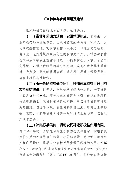 玉米种植存在的问题及建议