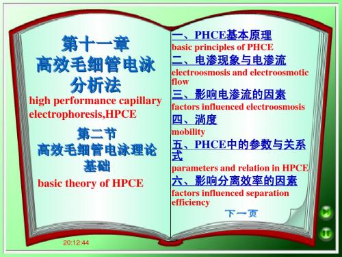 HPCE高效毛细管电泳理论基础