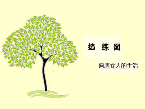 八年级美术捣练图优秀课件