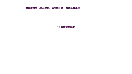 15《圆珠笔的秘密》说课稿ppt课件