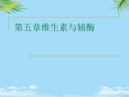 维生素与辅酶最全PPT