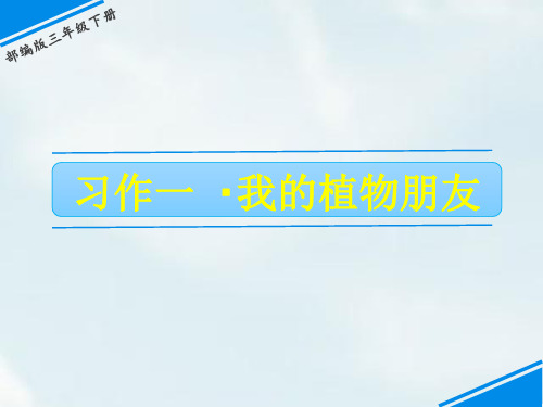 部编版三年级语文下册习作：我的植物朋友PPT课件1