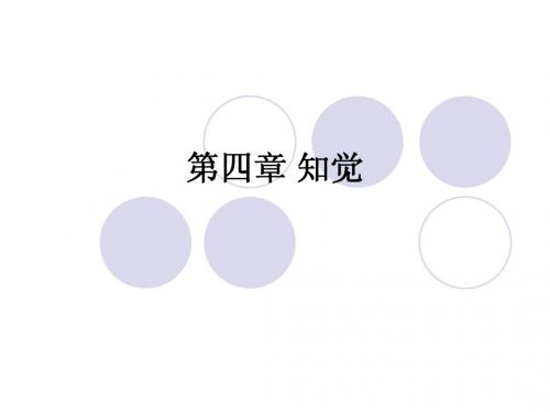 第04章 知觉