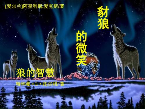 狼的智慧(男人必看书籍)研究