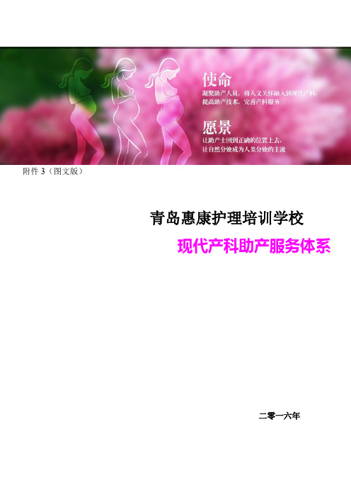 现代产科助产服务体系简介(图文版)