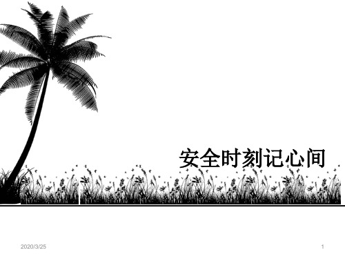 安全时刻记心间PPT课件