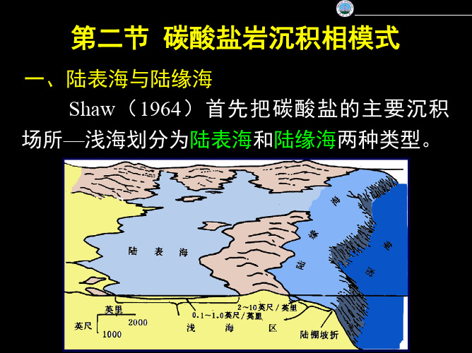 碳酸盐岩沉积相模式