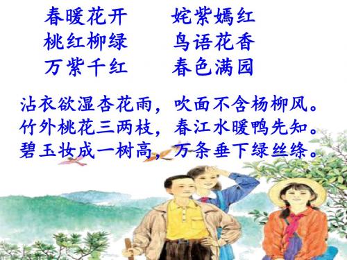 苏教版小学语文五年级下册《1 春光染绿我们双脚》