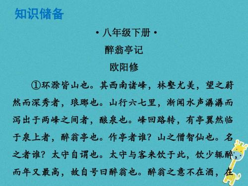 广东专版中考语文总复习中考解读阅读理解第一章文言文阅读第一节课内文言文阅读八下醉翁亭记课件0312177