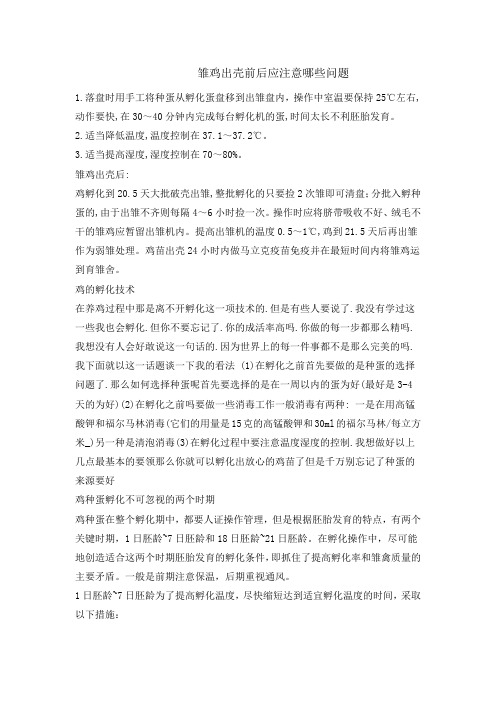 雏鸡出壳前后应注意哪些问题
