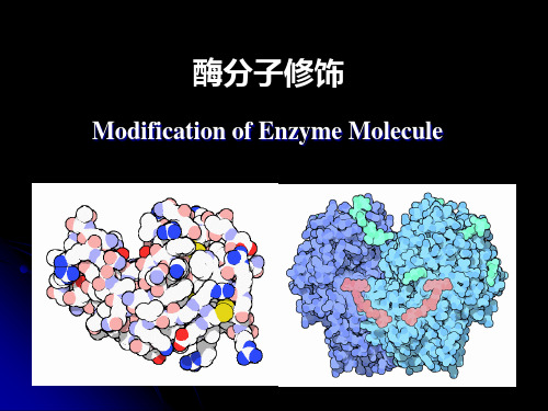 酶工程 第九章 酶分子修饰