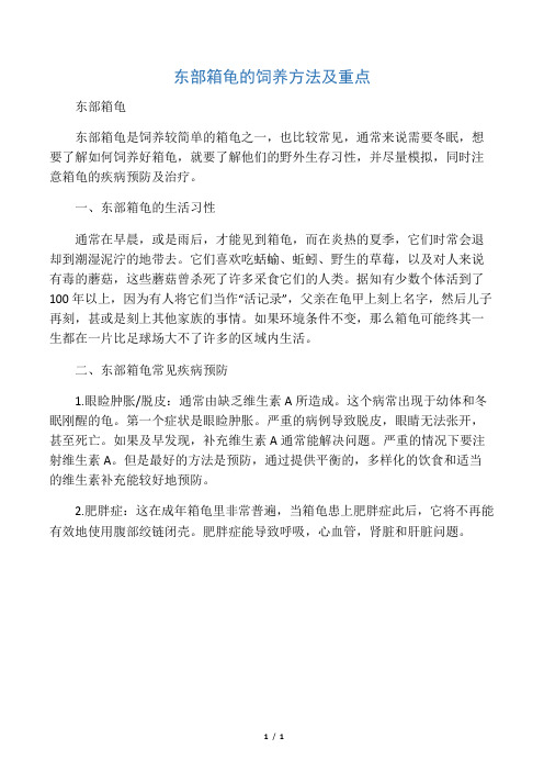 东部箱龟的饲养方法及重点
