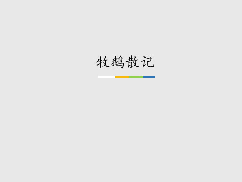 鄂教版初中七年级语文上册：牧鹅散记_课件1