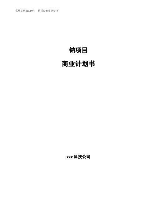 钠项目商业计划书(参考模板word可编辑)