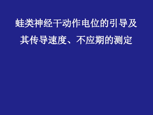 生理学实验课件 蛙类神经干动作电位的引导及其传导速度、不应期的测定
