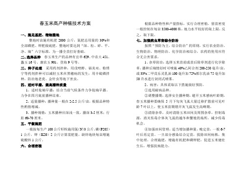 春玉米高产种植技术方案