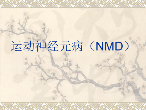 运动神经元病(NMD)