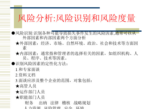 企业风险识别和度量