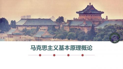 马克思主义基本原理 第三章 人类社会及发展规律97p