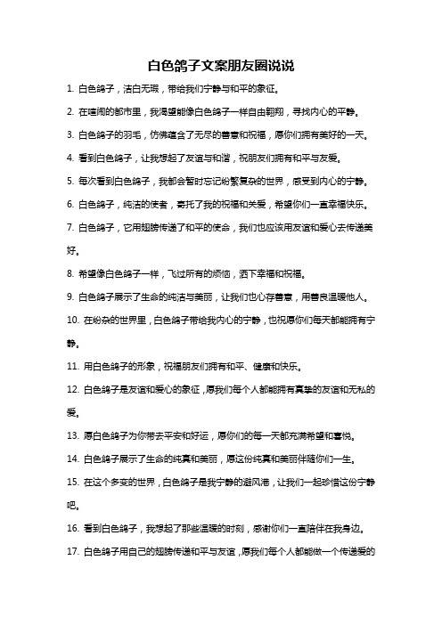 白色鸽子文案朋友圈说说
