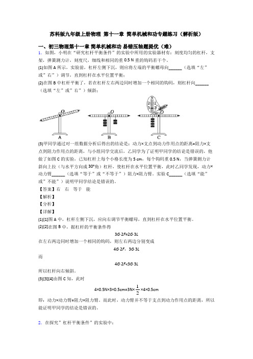 苏科版九年级上册物理 第十一章 简单机械和功专题练习(解析版)