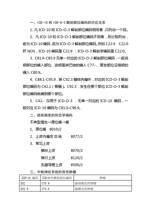 编码说明